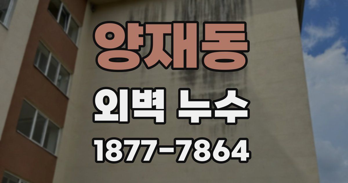 양재동 외벽 누수