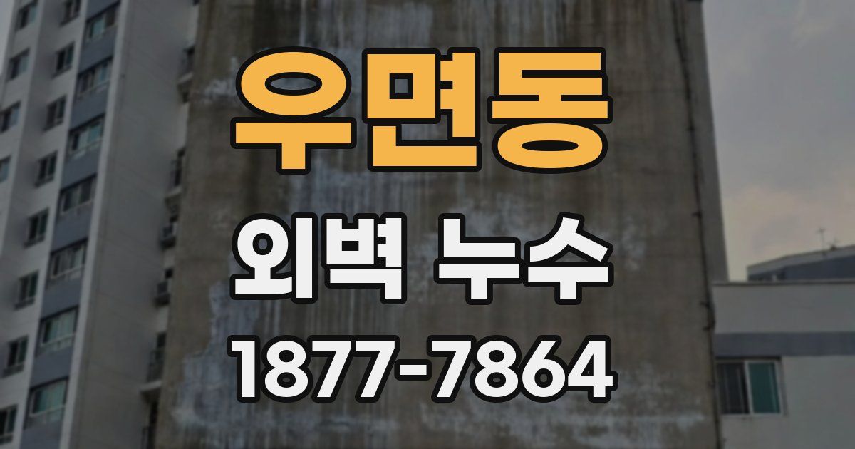 우면동 외벽 누수