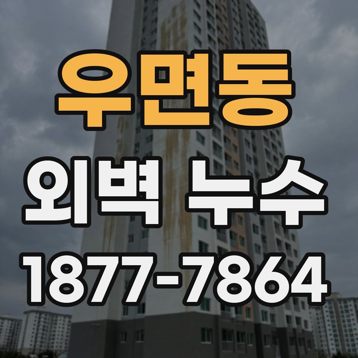 우면동 외벽 누수