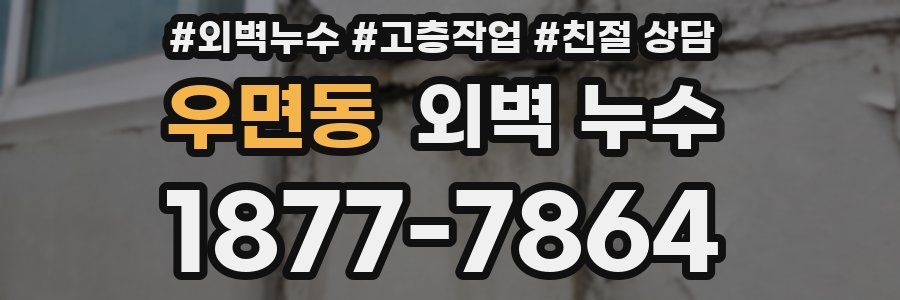 우면동 외벽 누수