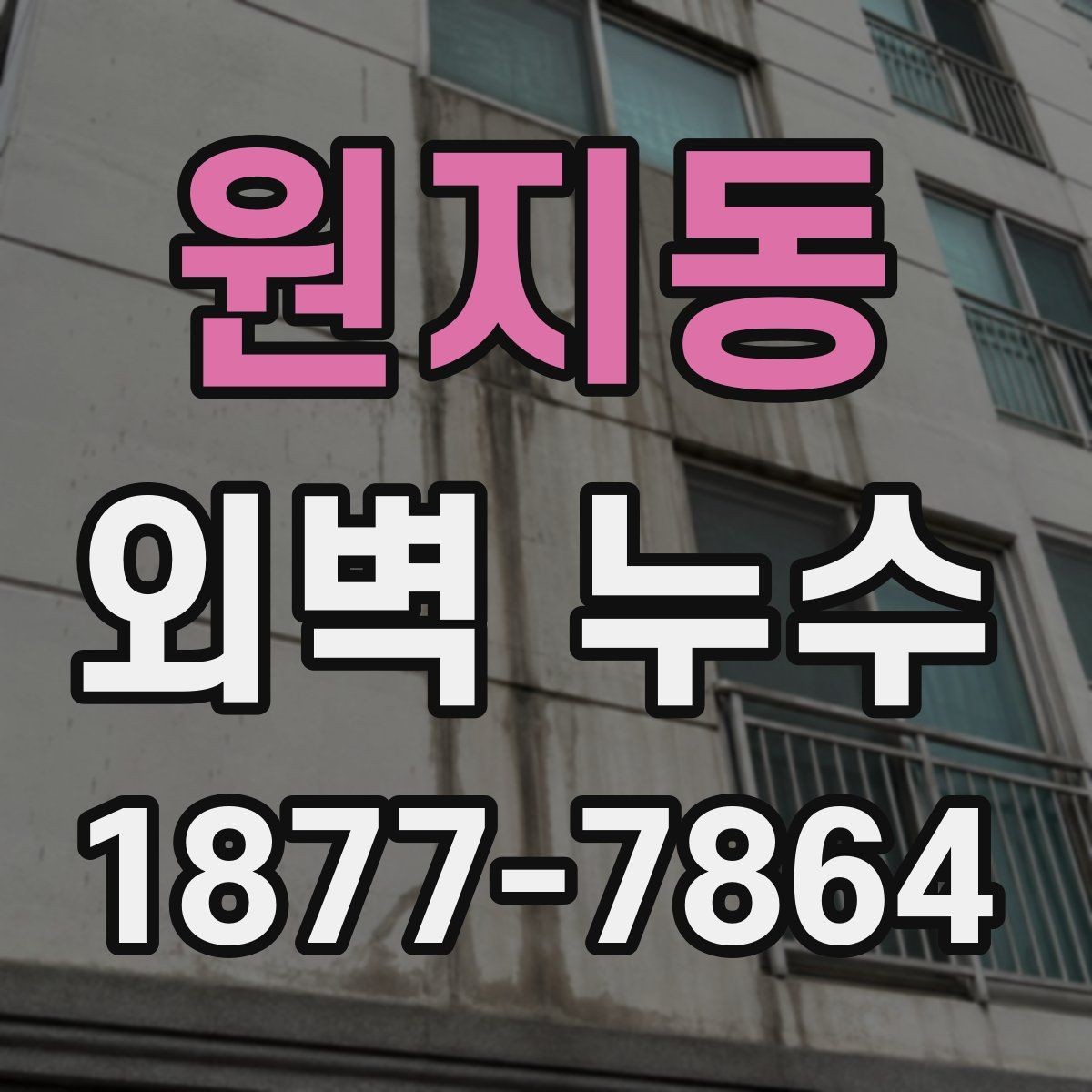 원지동 외벽 누수 보수 범위는 어떻게 정할까
