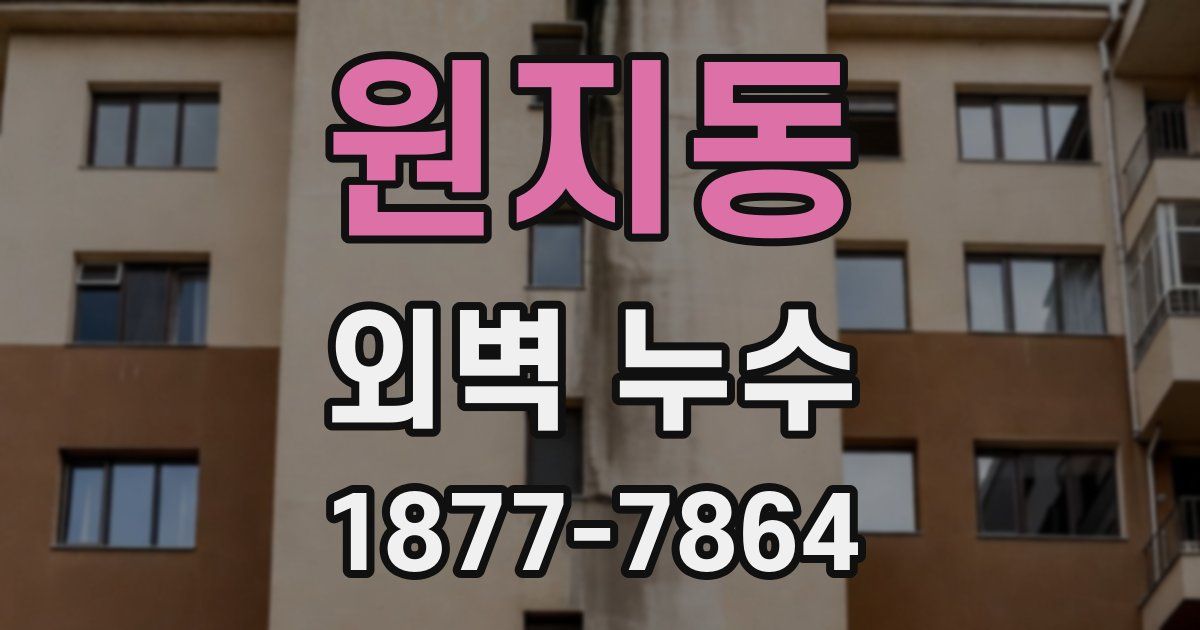 원지동 외벽 누수