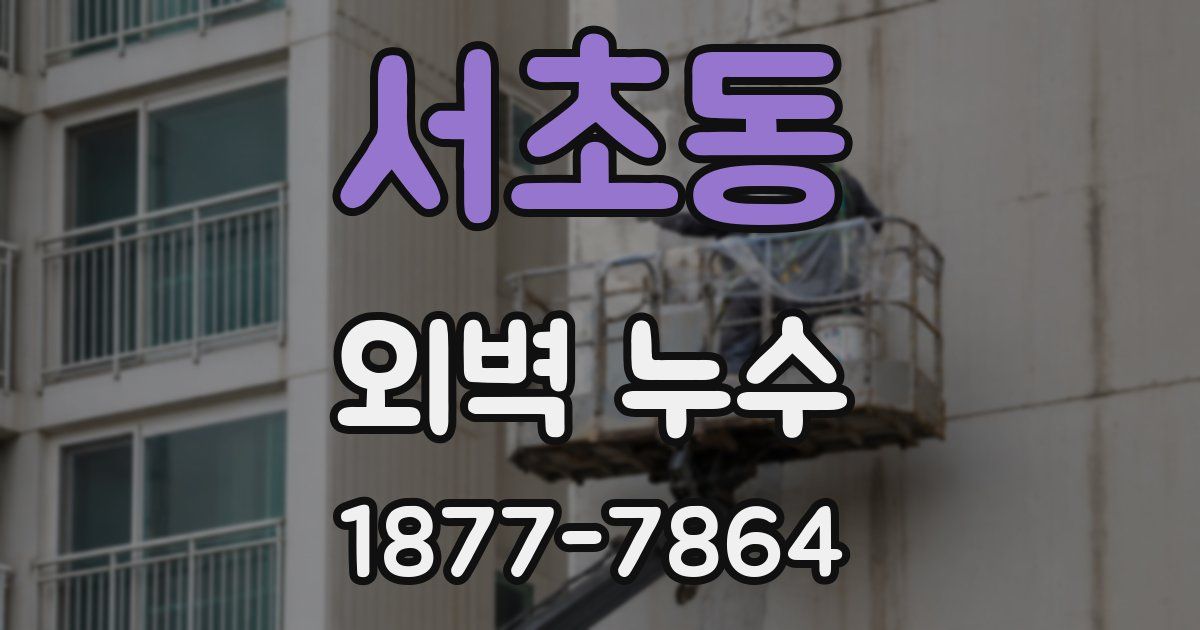 서초동 외벽 누수