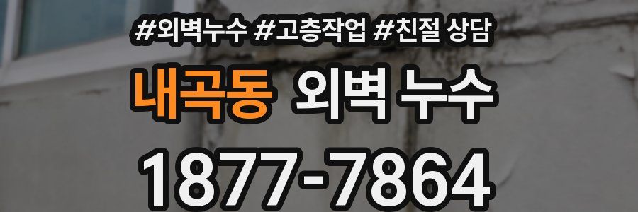 내곡동 외벽 누수