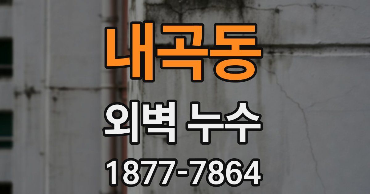 내곡동 외벽 누수