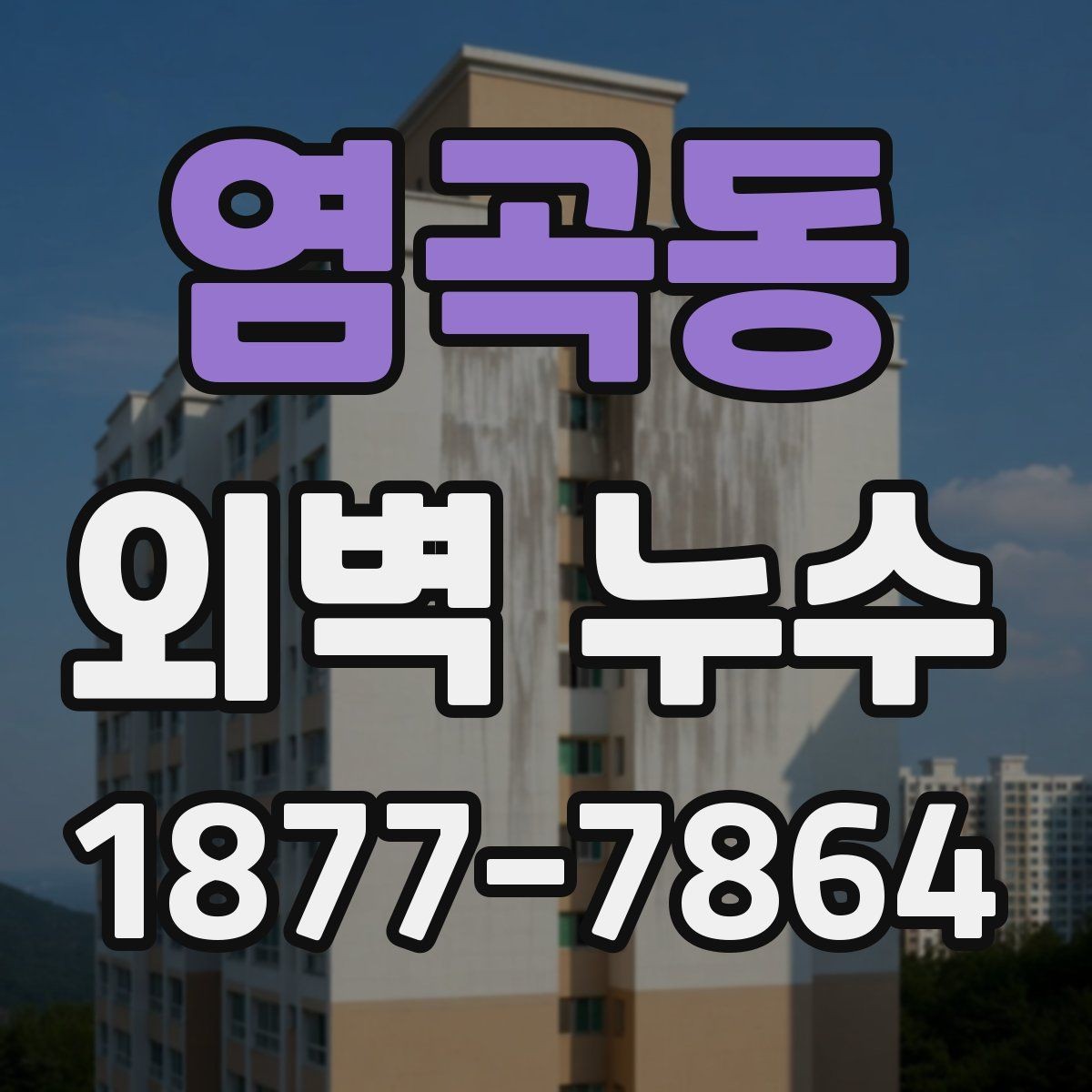 염곡동 외벽 누수 보수 시 자주 묻는 질문