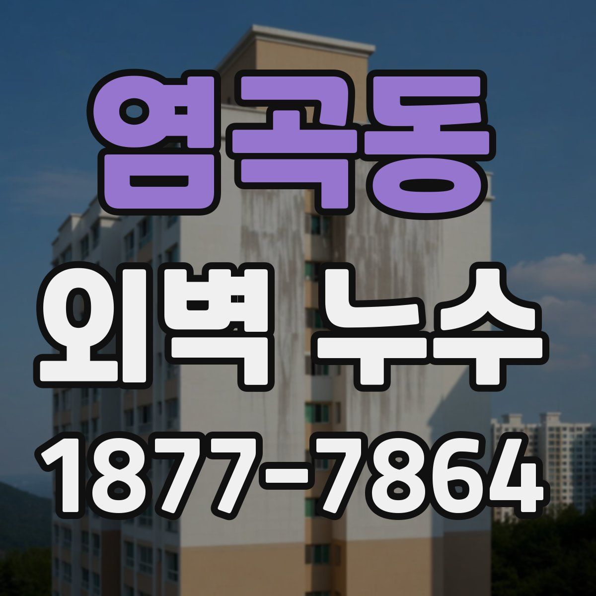 염곡동 외벽 누수