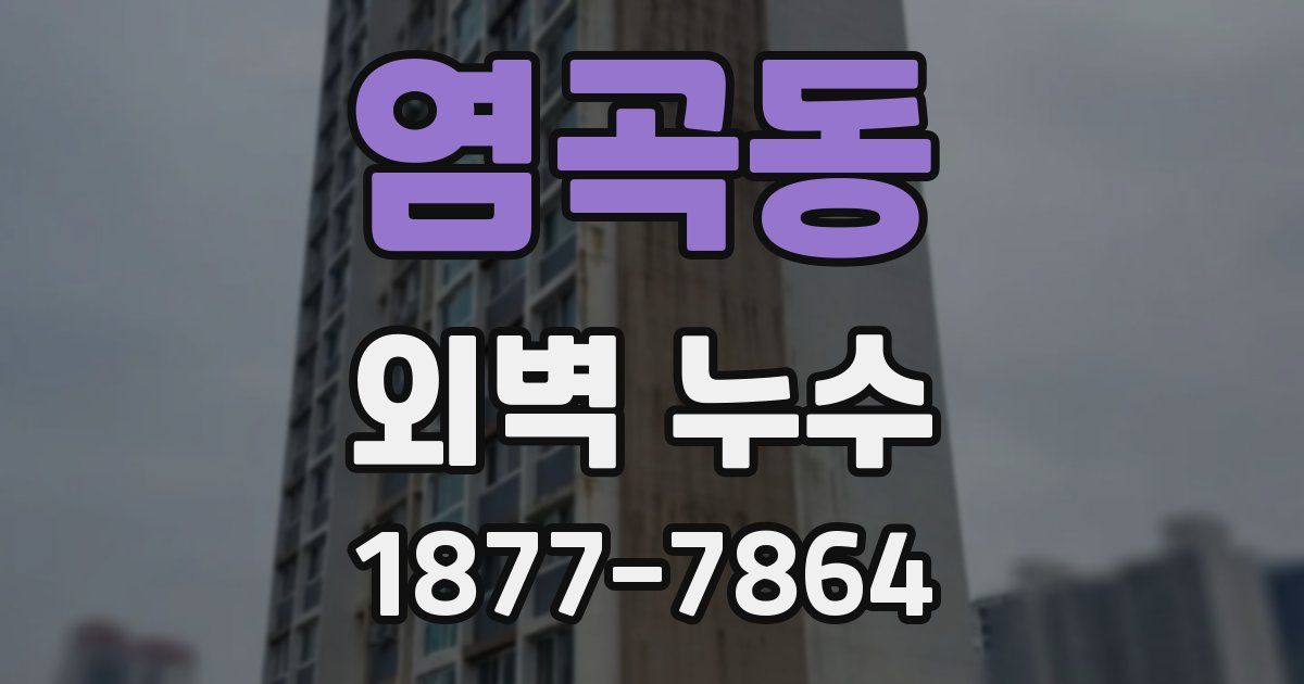 염곡동 외벽 누수