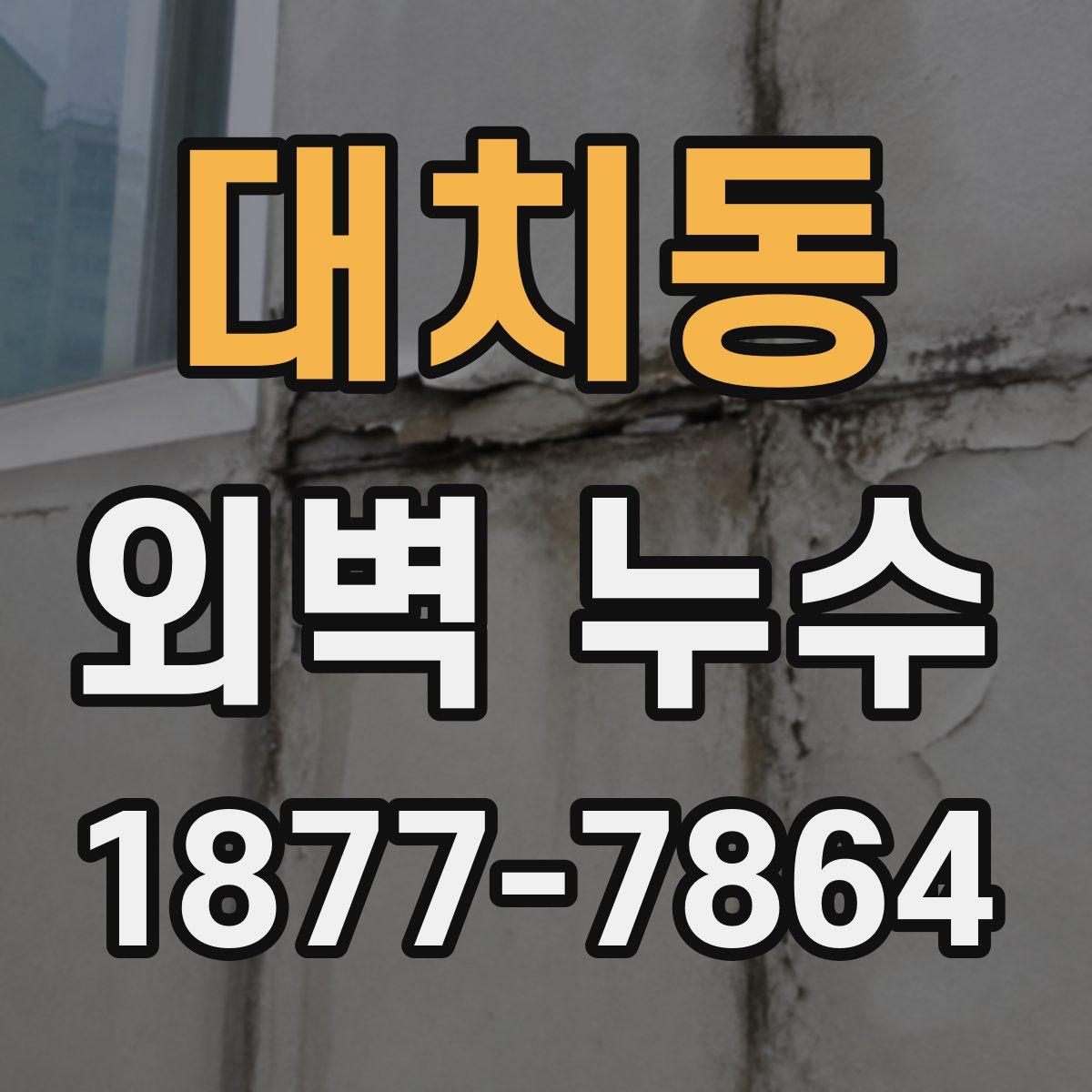 대치동 외벽 누수