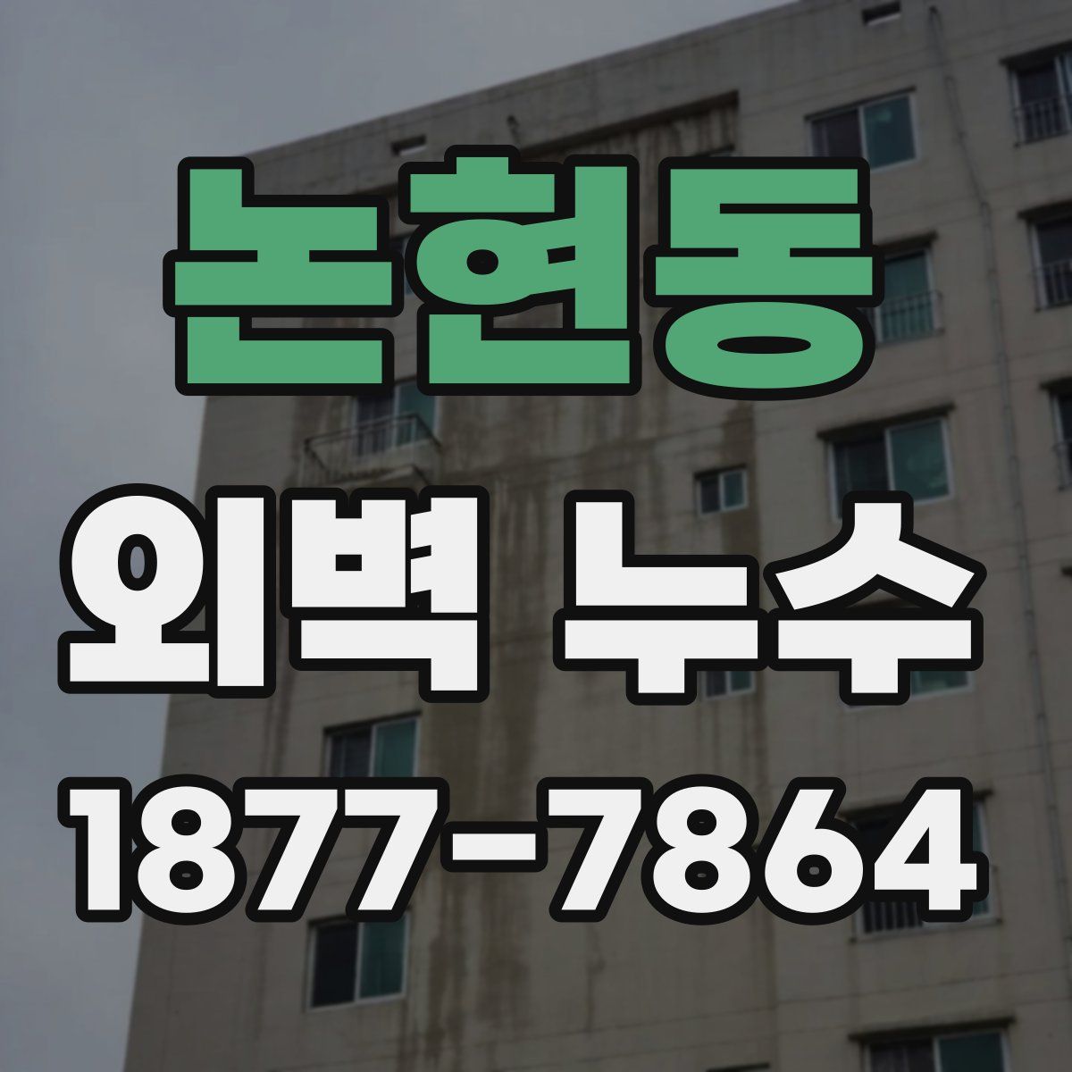 논현동 외벽 누수