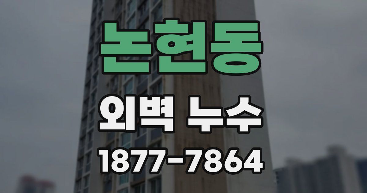 논현동 외벽 누수