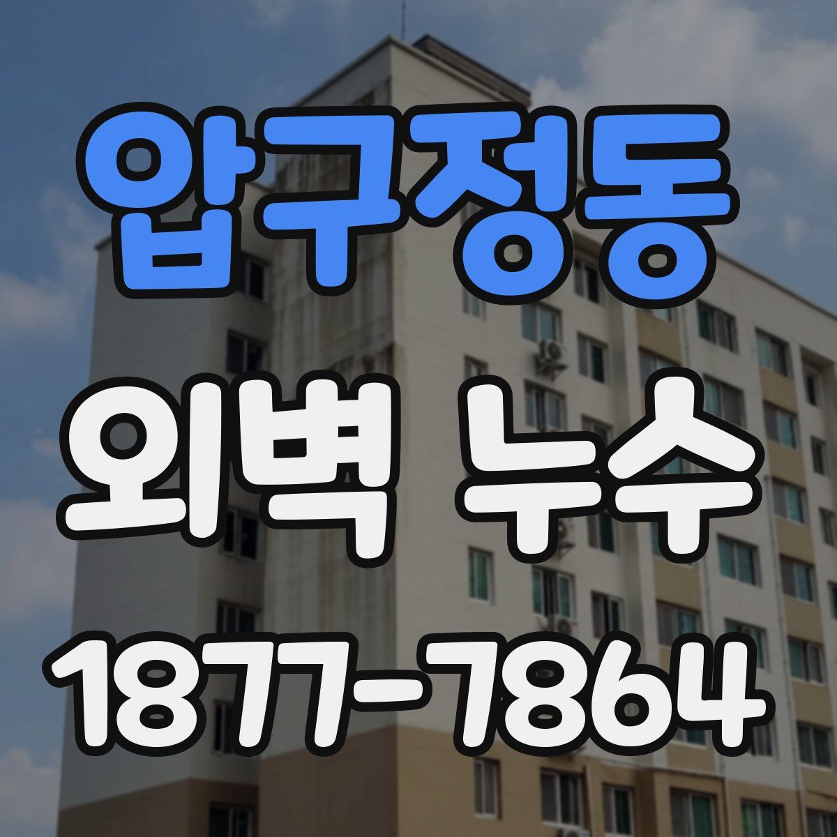압구정동 외벽 누수