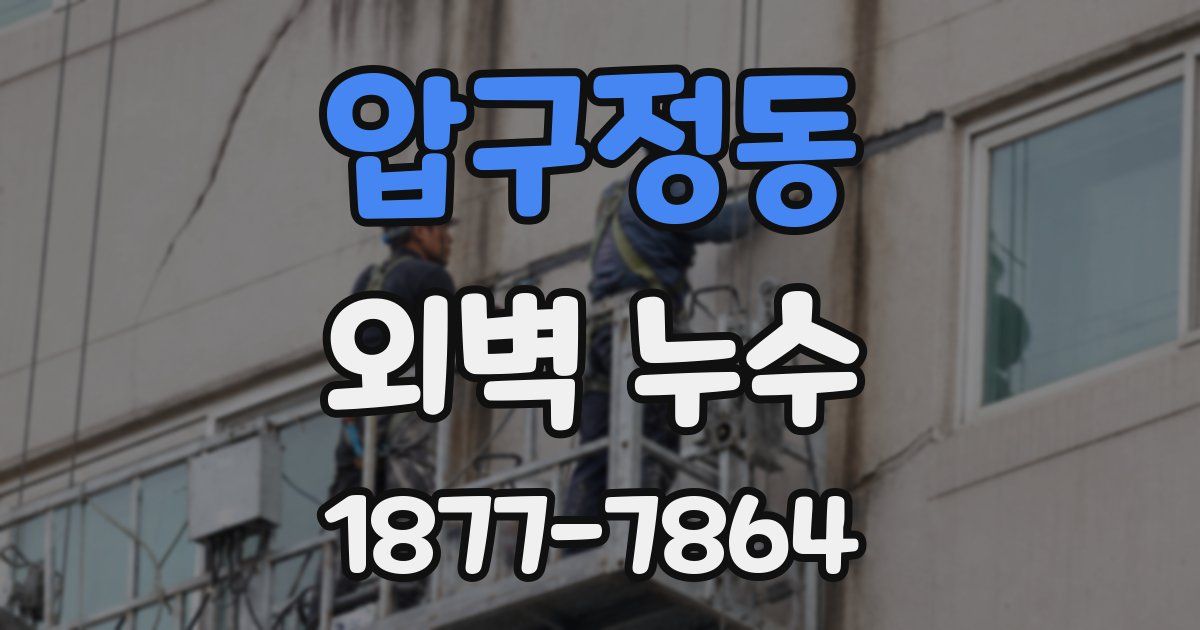 압구정동 외벽 누수