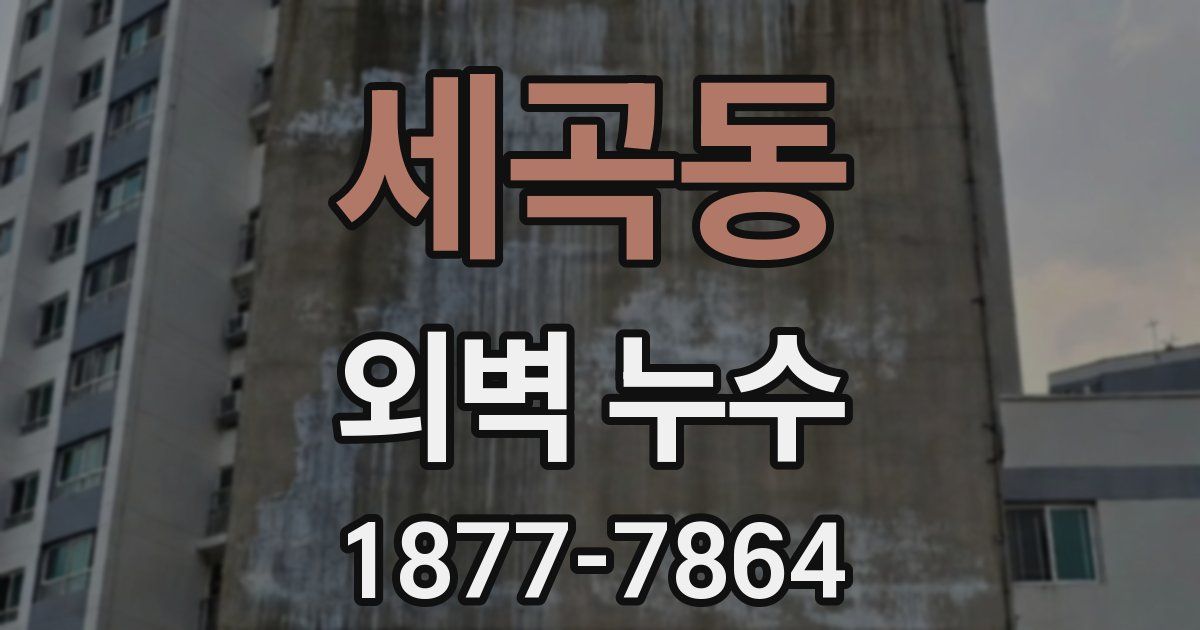 세곡동 외벽 누수