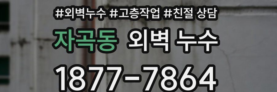 자곡동 외벽 누수