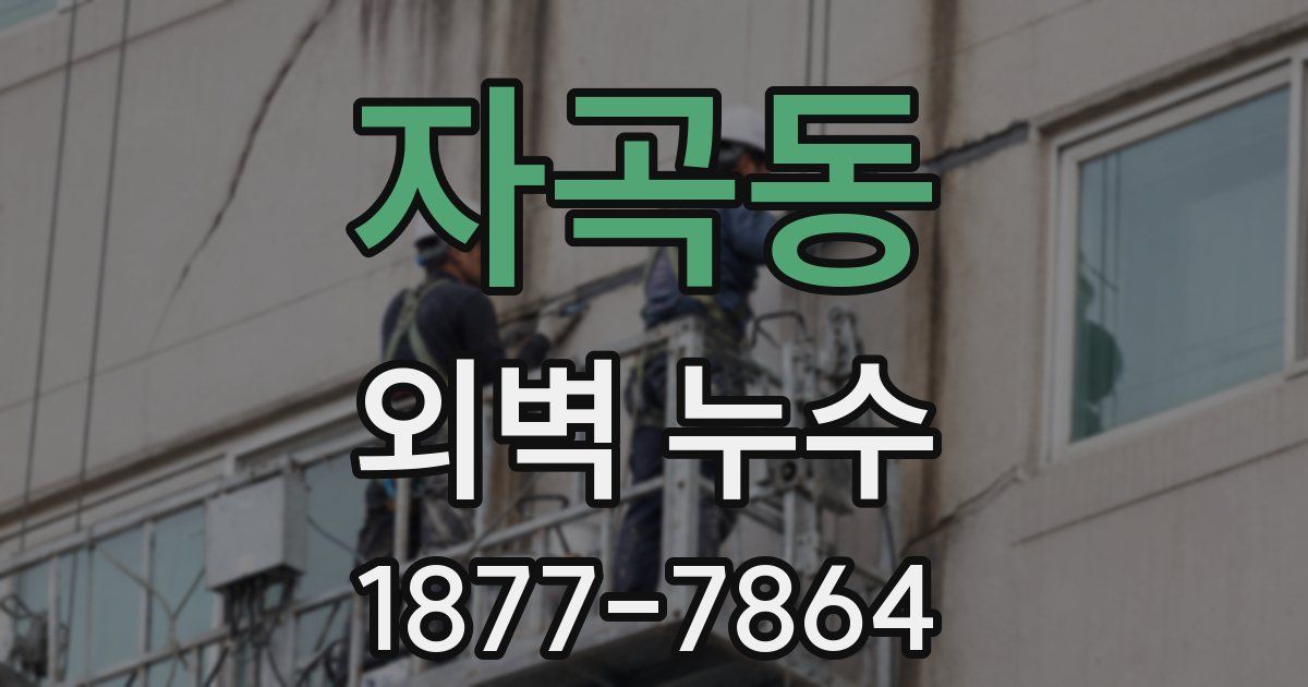 자곡동 외벽 누수