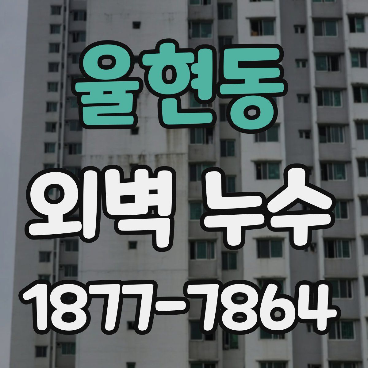 율현동 외벽 누수