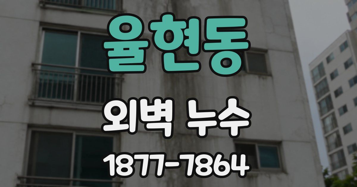 율현동 외벽 누수