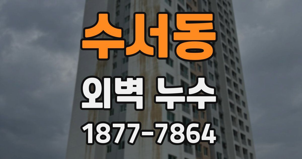 수서동 외벽 누수