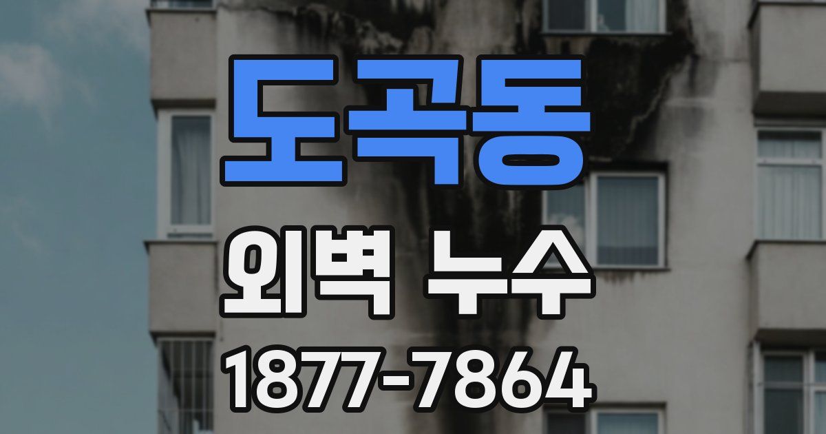 도곡동 외벽 누수