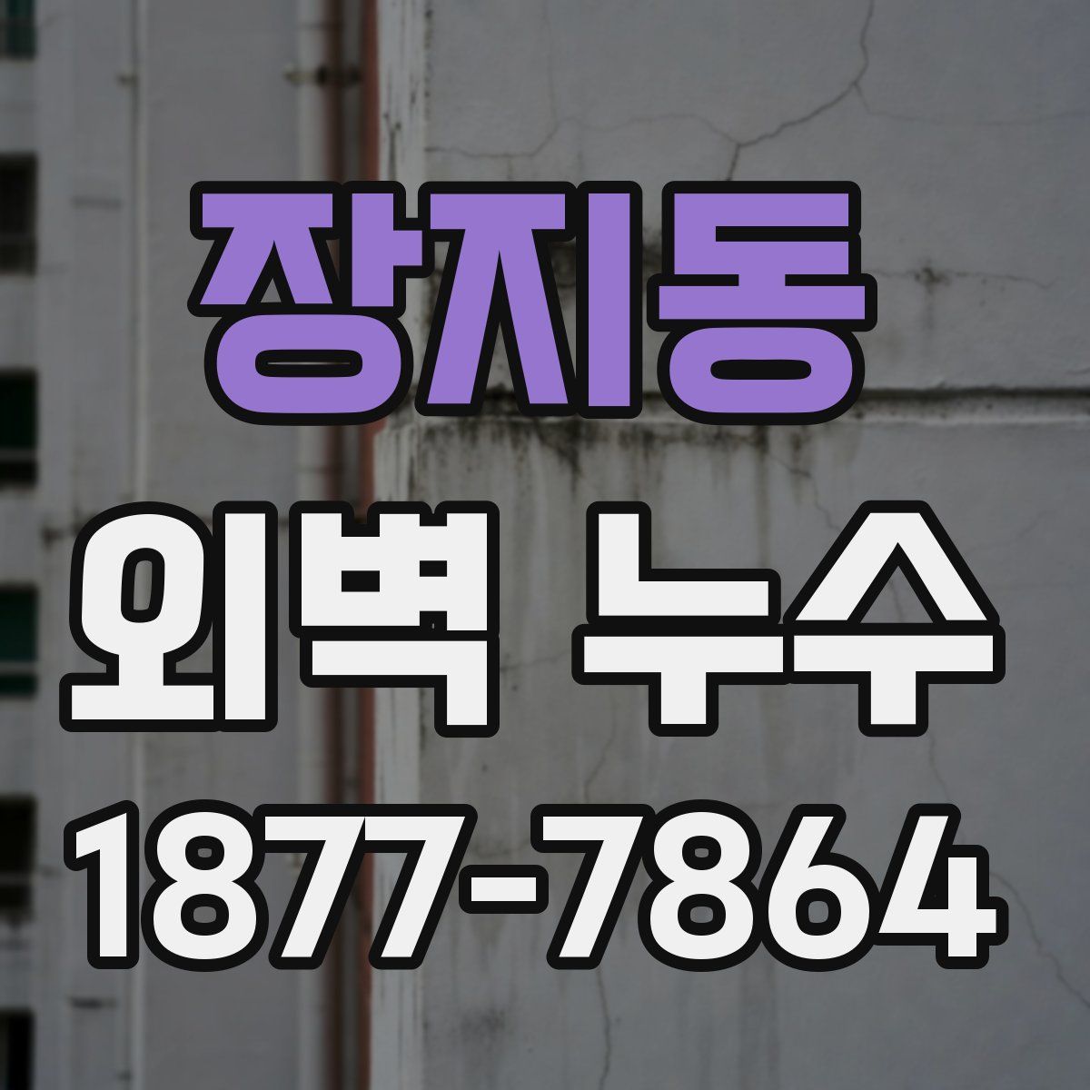 장지동 외벽 누수