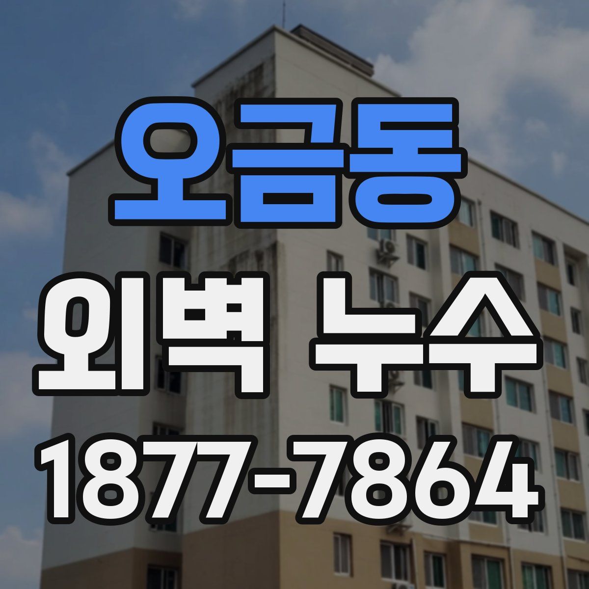 오금동 외벽 누수