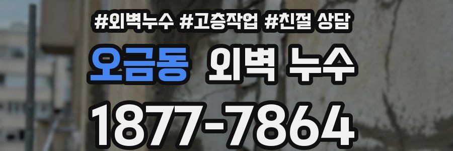 오금동 외벽 누수