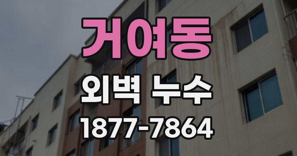 거여동 외벽 누수