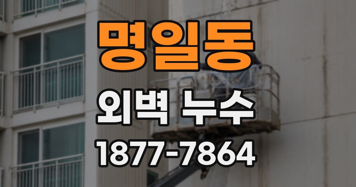 명일동 외벽 누수