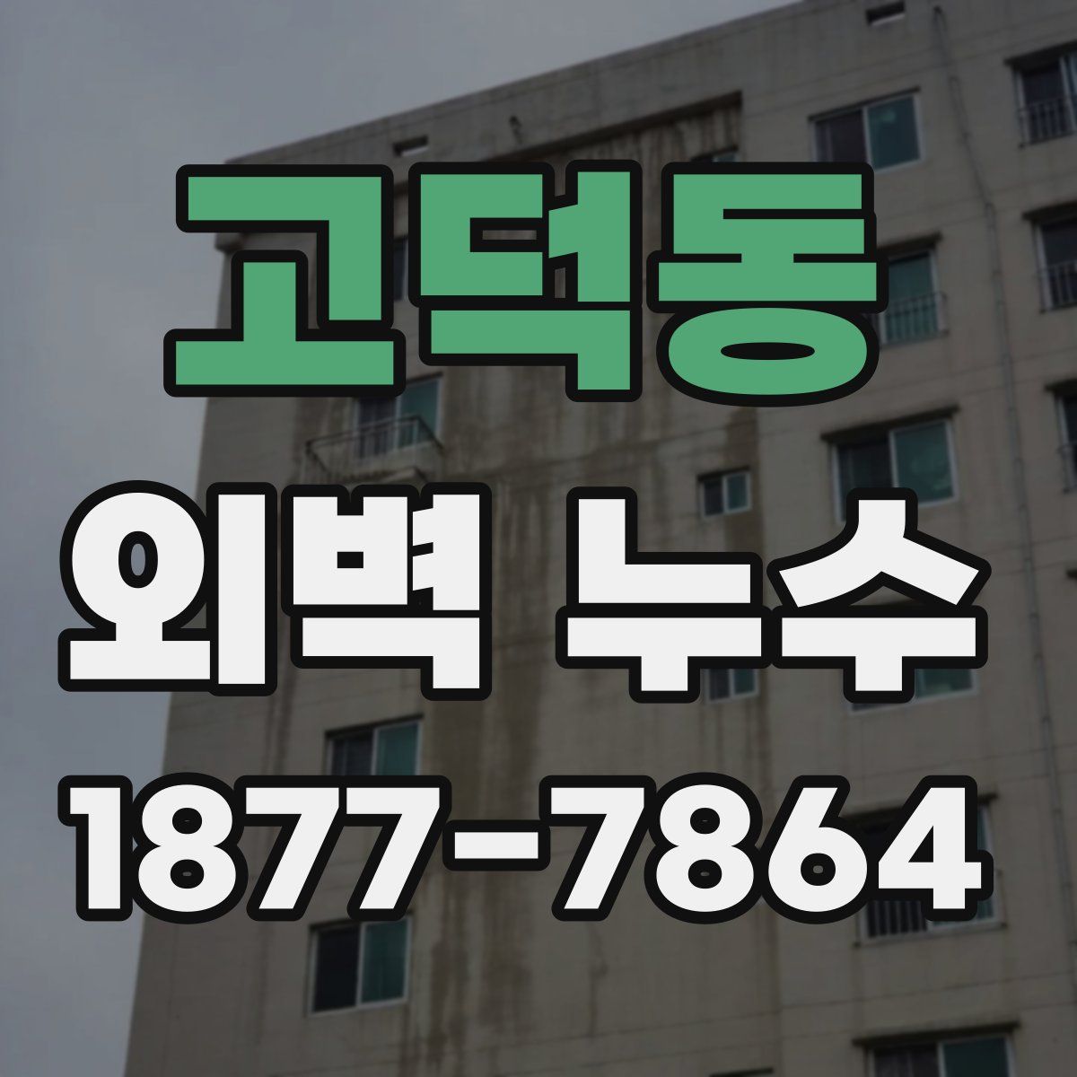 고덕동 외벽 누수