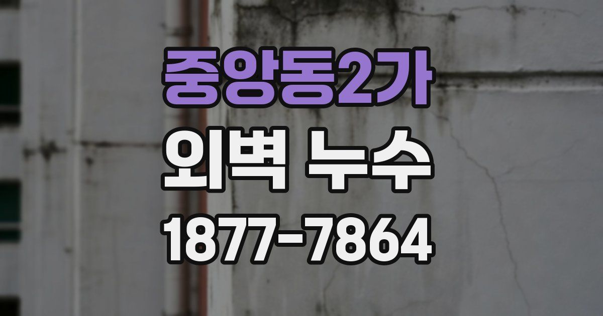 중앙동2가 외벽 누수