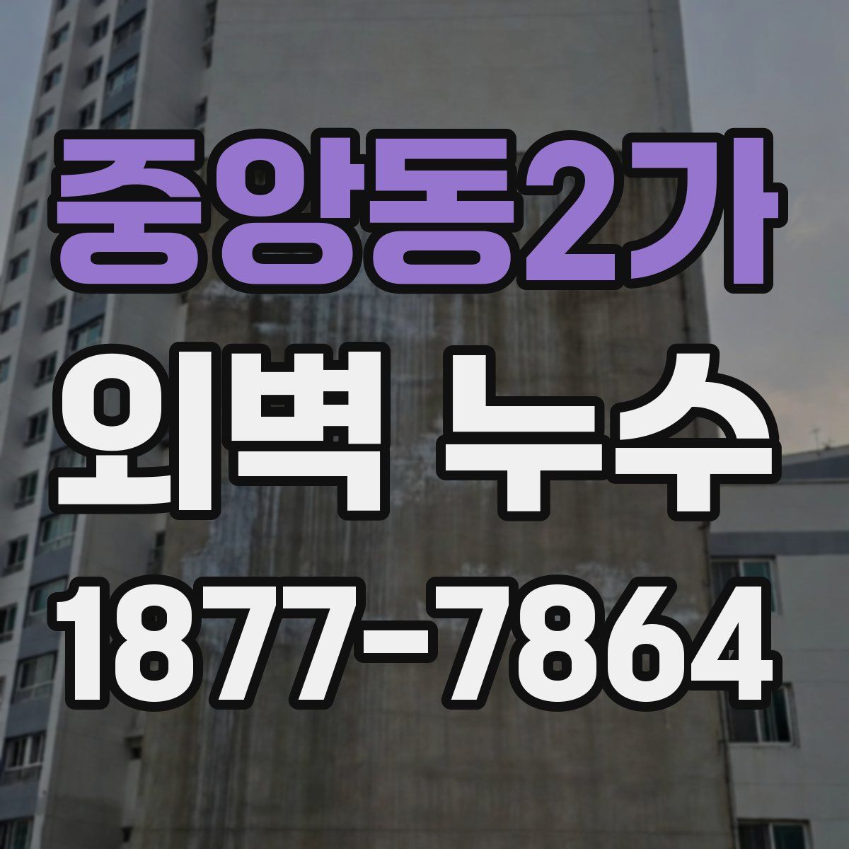 중앙동2가 외벽 누수
