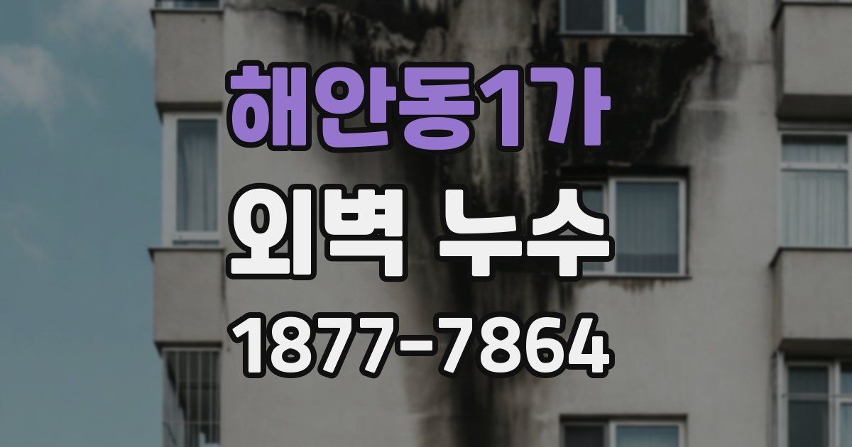 해안동1가 외벽 누수