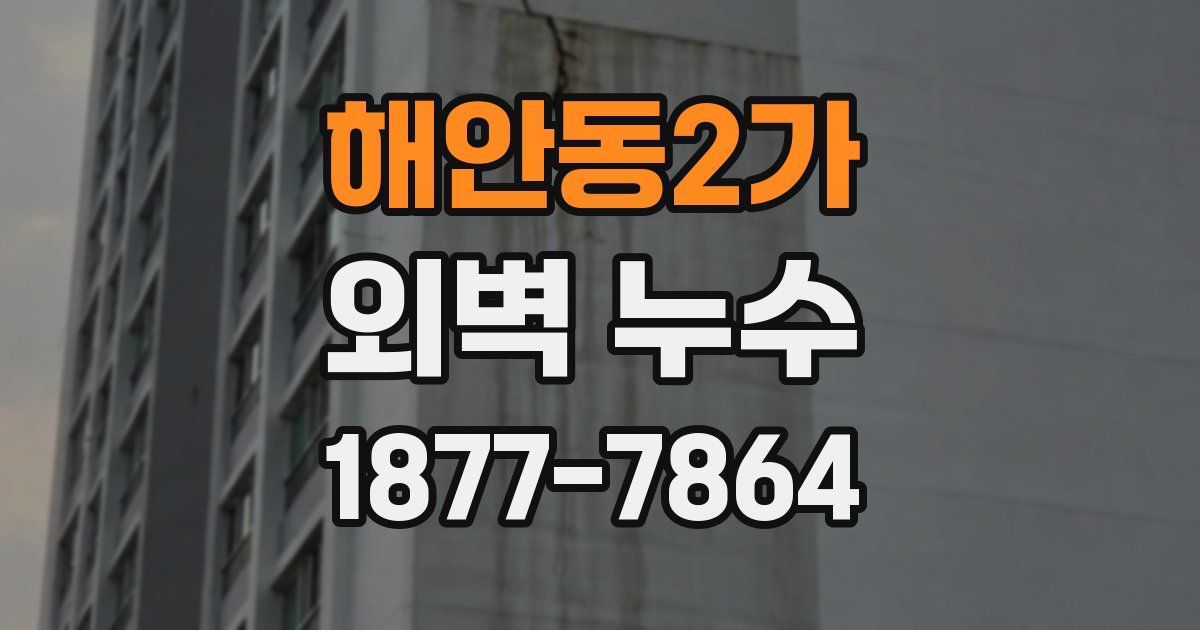 해안동2가 외벽 누수