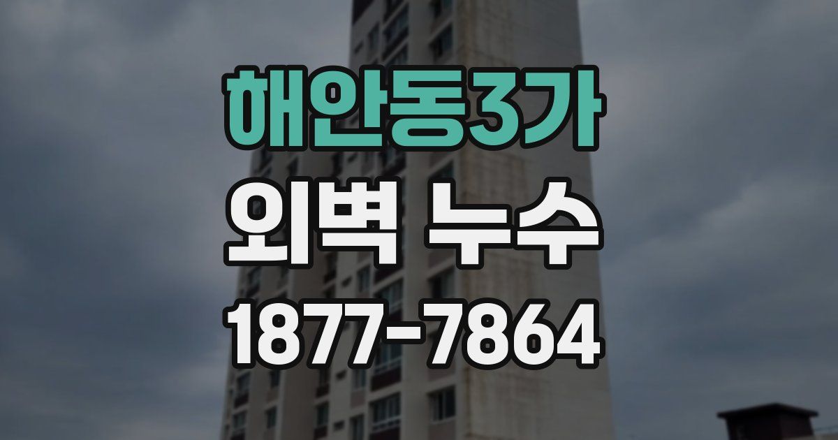 해안동3가 외벽 누수