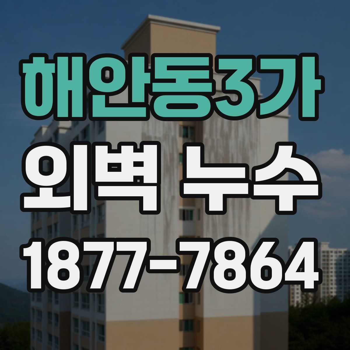 해안동3가 외벽 누수