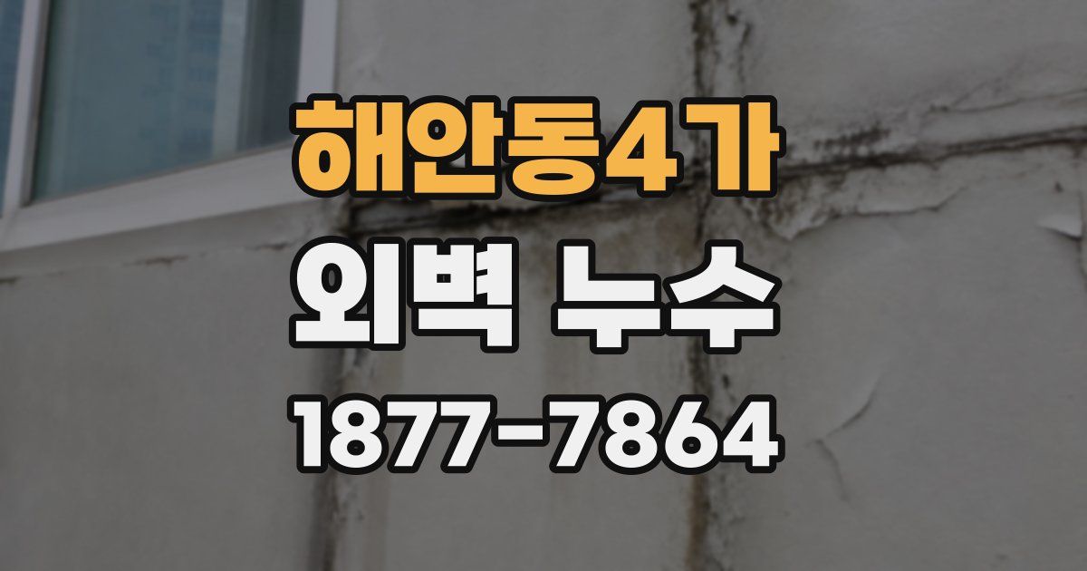 해안동4가 외벽 누수