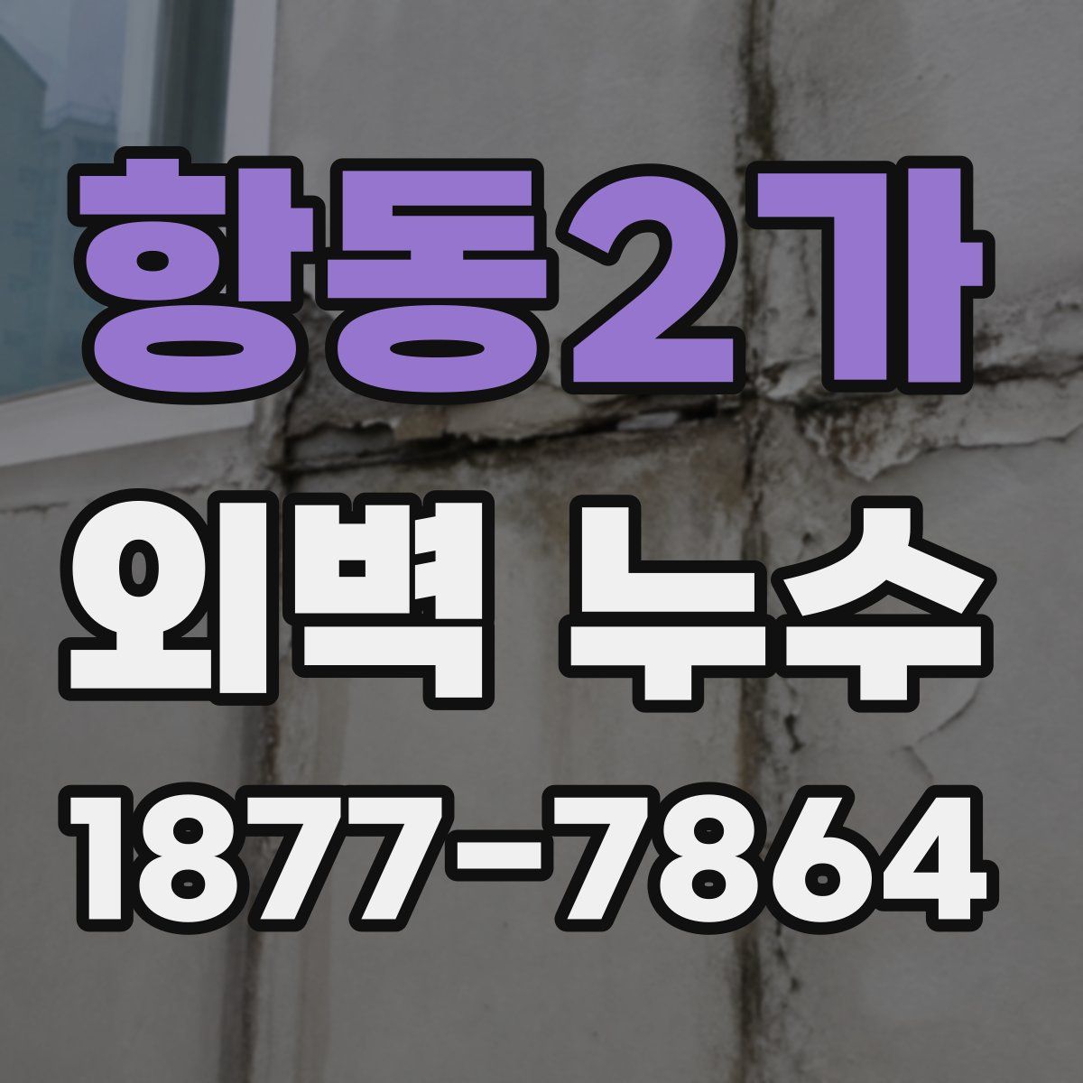 항동2가 외벽 누수