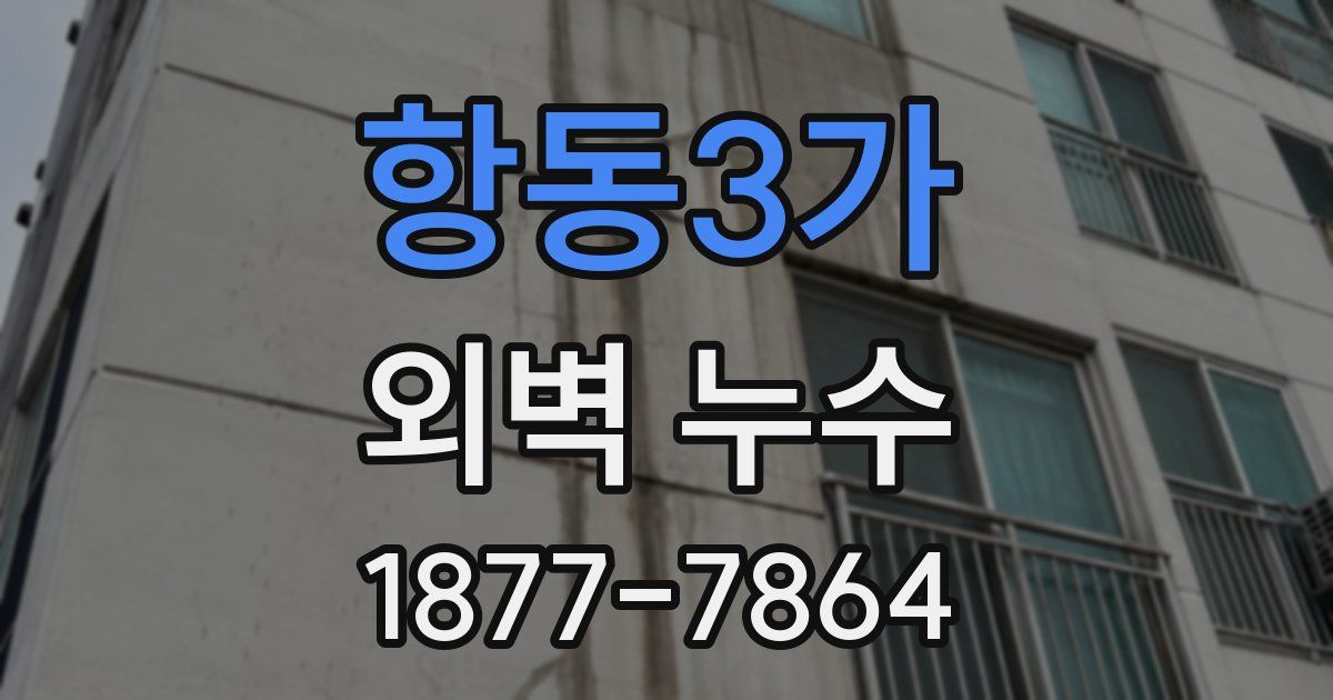 항동3가 외벽 누수
