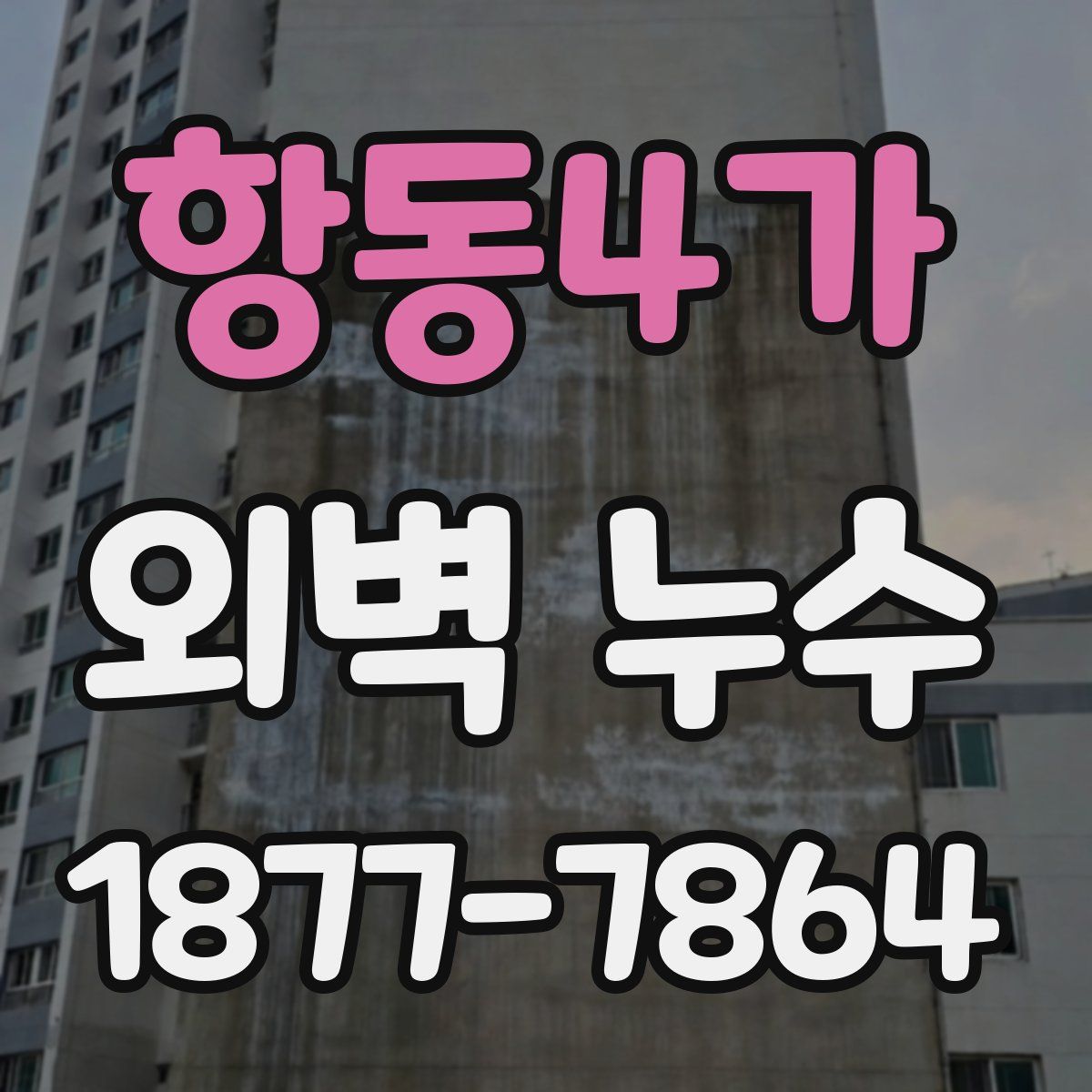 항동4가 외벽 누수