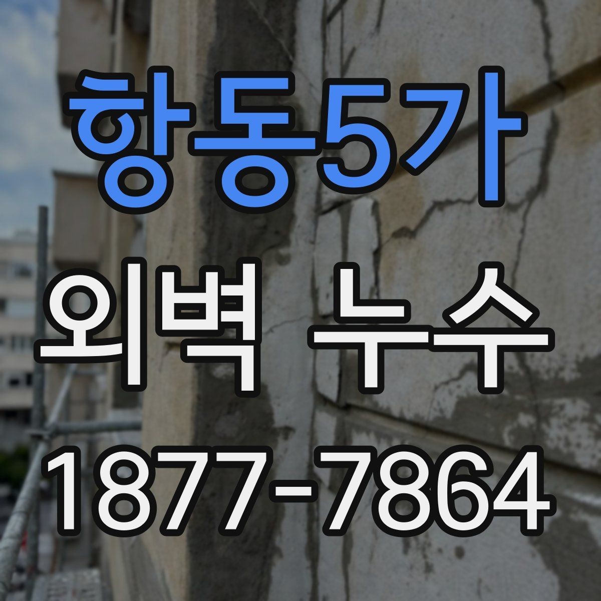 항동5가 외벽 누수 사례로 보는 흔한 원인들