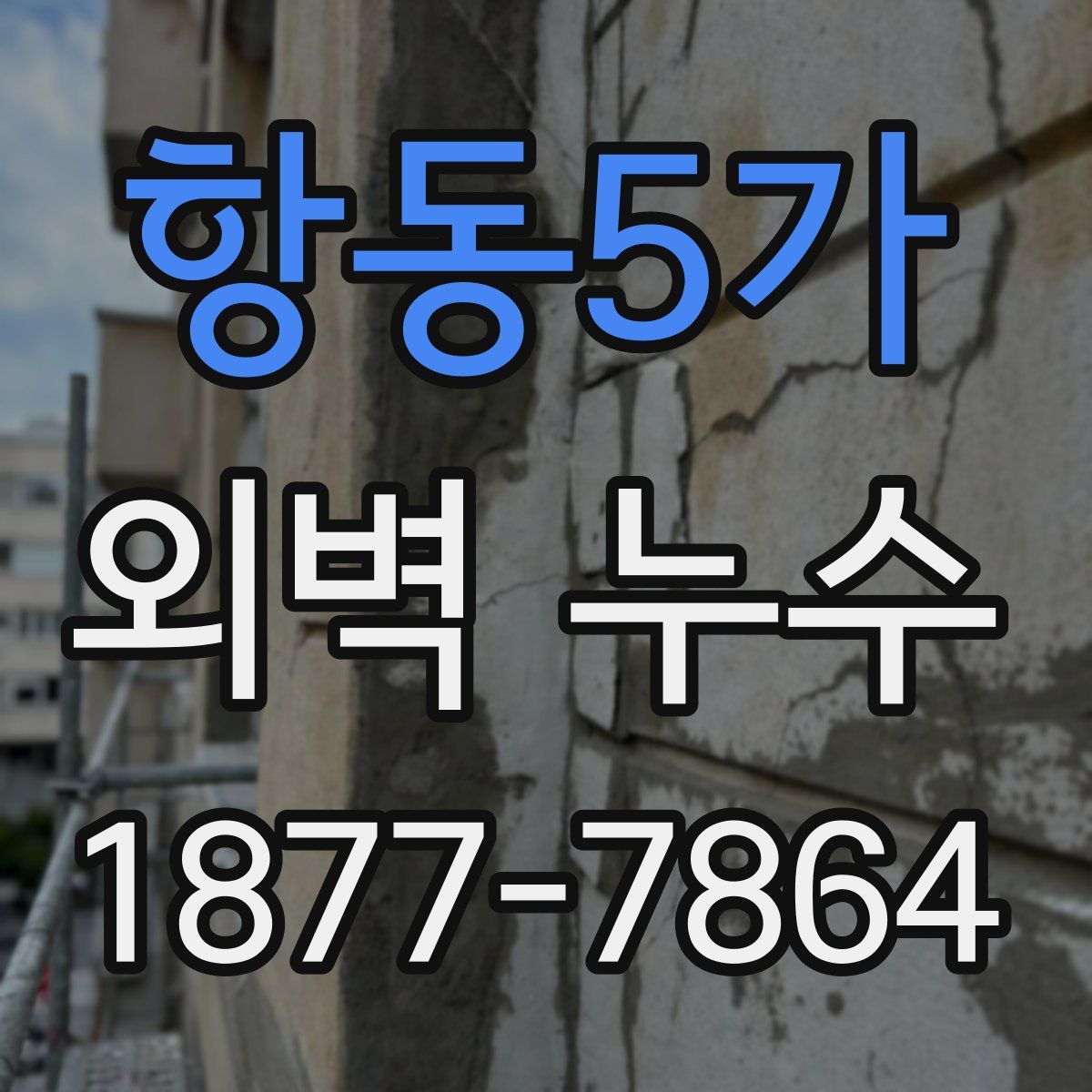 항동5가 외벽 누수