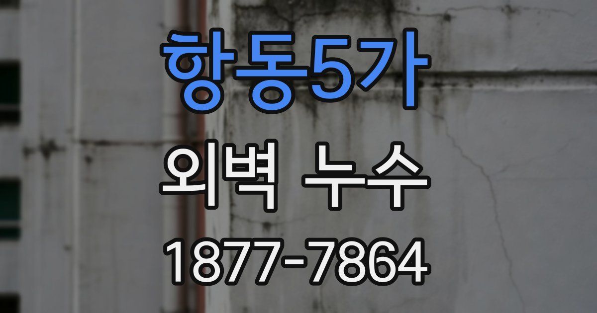 항동5가 외벽 누수