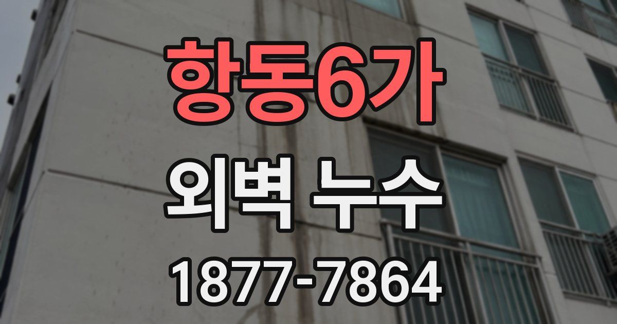 항동6가 외벽 누수