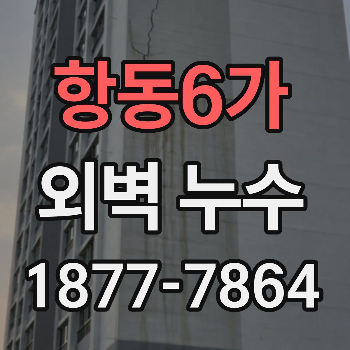 항동6가 외벽 누수