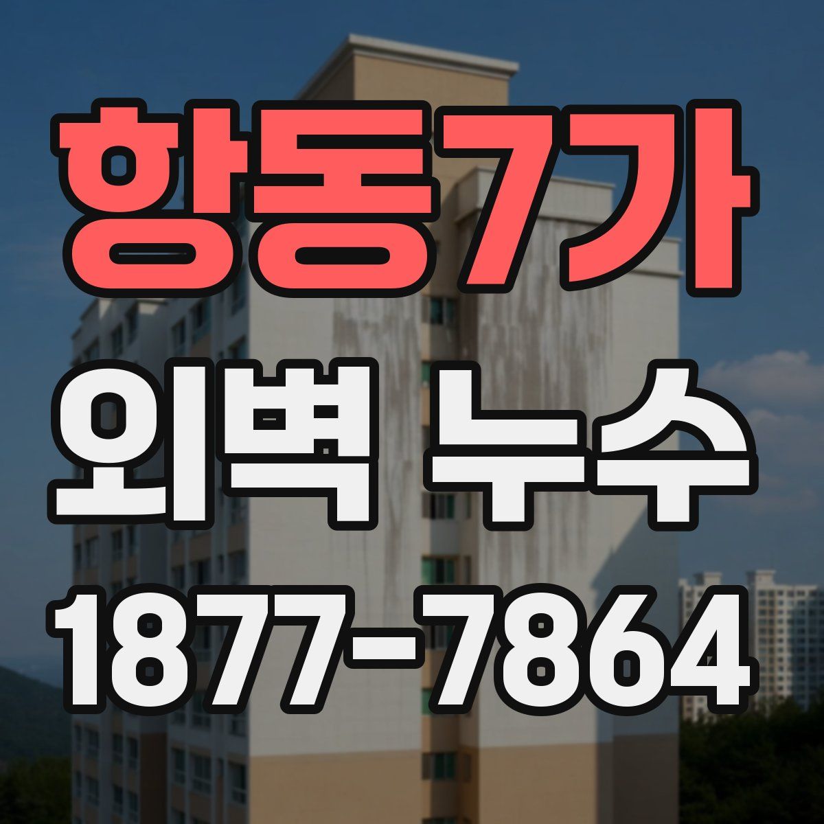 항동7가 외벽 누수