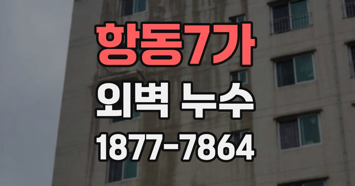 항동7가 외벽 누수