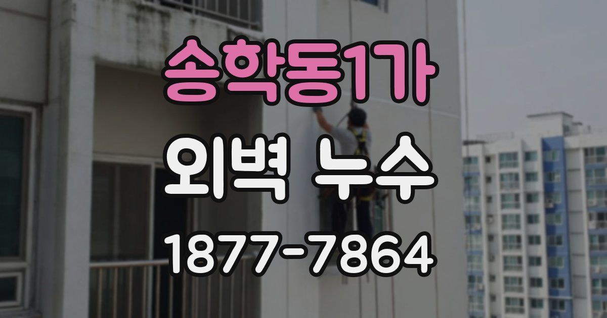송학동1가 외벽 누수