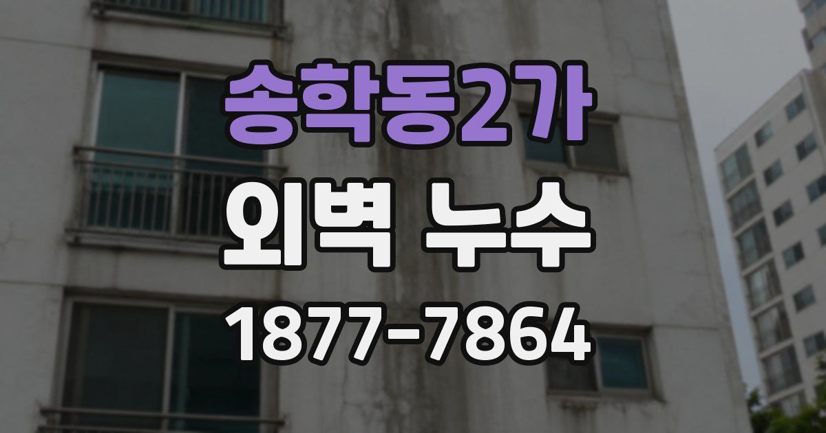 송학동2가 외벽 누수