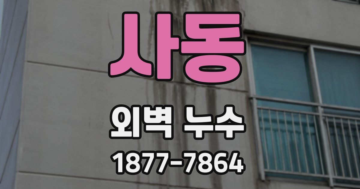 사동 외벽 누수